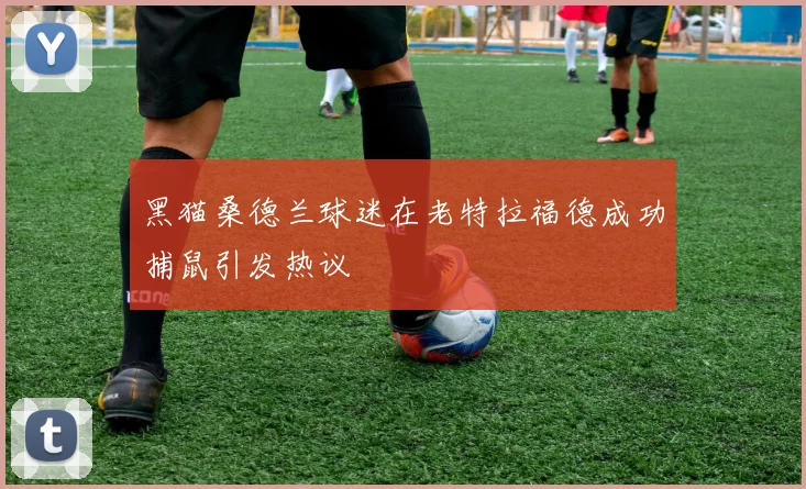 黑猫桑德兰球迷在老特拉福德成功捕鼠引发热议