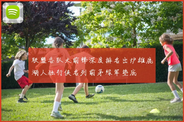 联盟各队大前锋深度排名出炉雄鹿湖人独行侠名列前茅绿军垫底